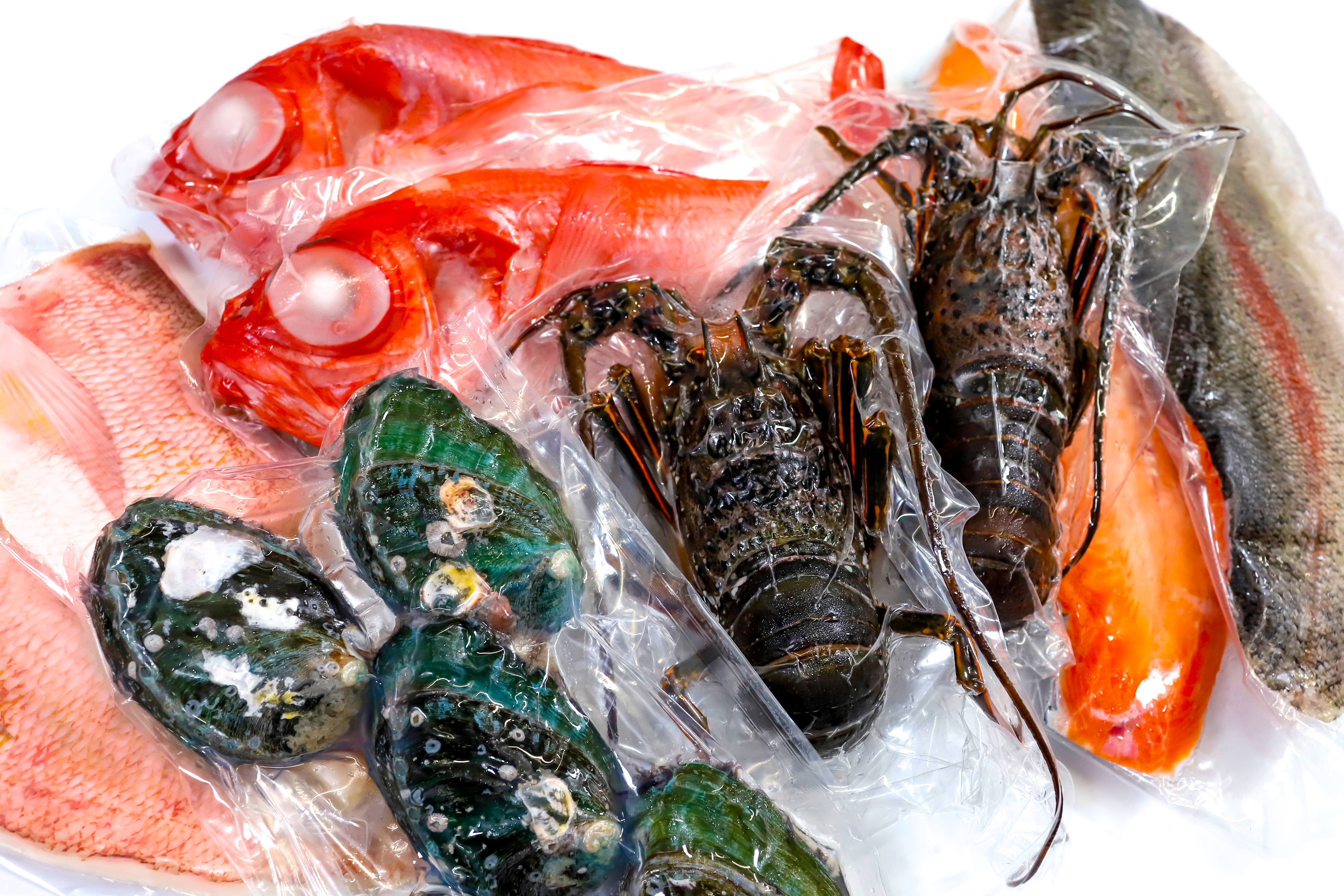 魚介類の「おいしい」をそのままに。